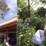 上海迪士尼乐园试开放,游客有不文明行为 上海迪士尼乐园试开放,游客有不文明行为