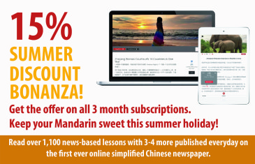 15% Off Summer Discount Bonanza!