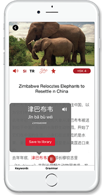 Learn Mandarin online with The Chairman's Bao