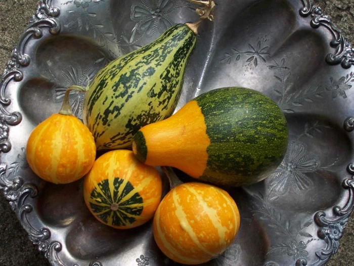 The History of Gourds in China