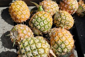pineapples lay out in sun on stall in China