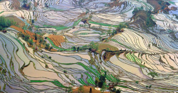 Yunnan Province – An Unforgettable Getaway A scenic picture of yunnan rice fields from above