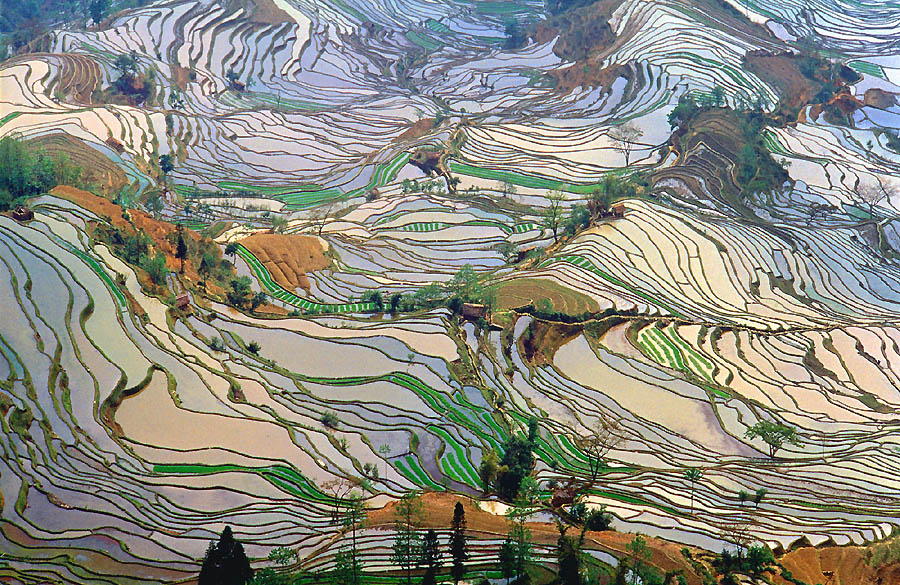 Yunnan Province – An Unforgettable Getaway
