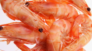a plate of raw prawns