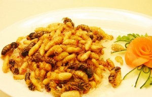 fried honeybees on a white plate in china