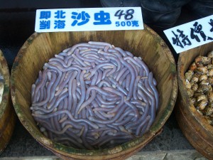 Sipunculus nudus chinese food in a bucket