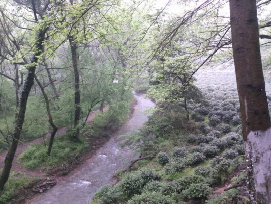 Cycling through the outskirts of Hangzhou