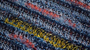 Rows of shared bikes await users in China