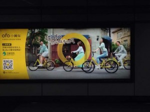 City Bike Rentals OFO