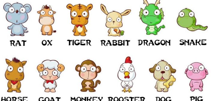 What Chinese Zodiac Animals Say About Your Personality | The Chairman's Bao