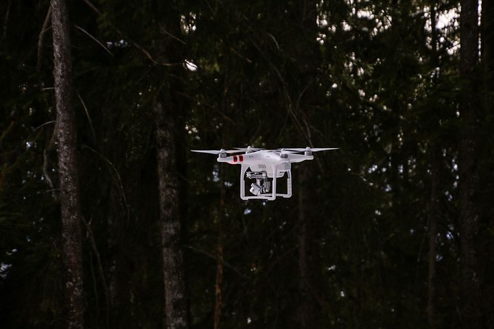 无人机每天种植10万棵树 drone flying in a forrest