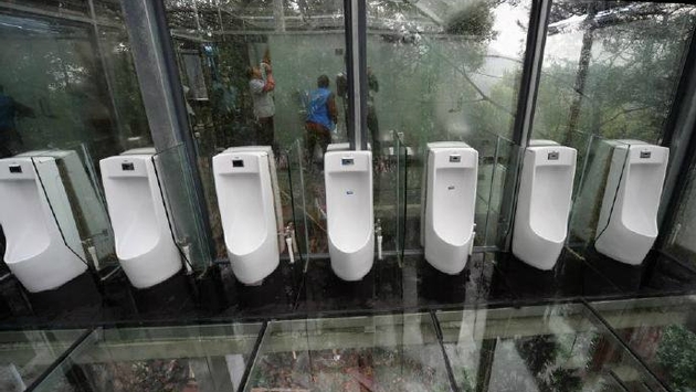 Loodicrous: Has China’s “Toilet Revolution” Gone Too Far?
