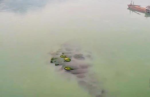 水下石刻时隔11年再次浮出长江 stones on yangtze river bed