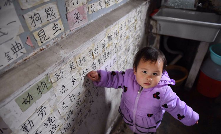 两岁半的小朋友认识2000多个汉字 young child next to chinese characters stuck on the wall