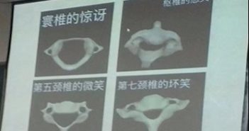 大学一讲师用表情包教解剖学 lecturer's emojis to teach anatomy
