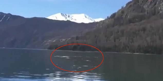 游客称在喀纳斯湖看到了 “水怪” unidentified creature in the water