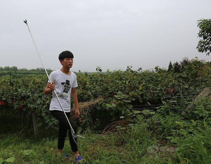 男生考上大学 有喜有忧 boy walking through garden in china