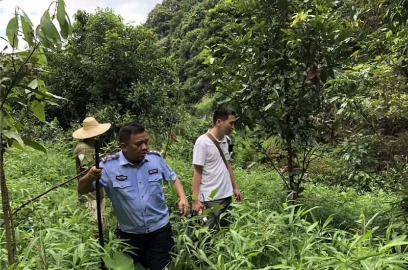 女童深山失踪五天,不吃不喝却奇迹生还 policeman and 2 farmers searching woods in china