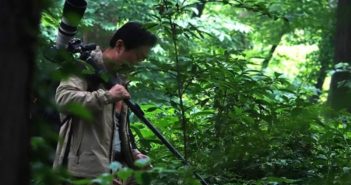 退休老人献出26年来拍的大熊猫照片 man walking through forrest with camera in china