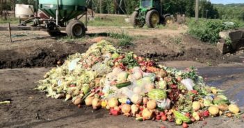 美国奥斯汀禁止餐厅丢弃食物残余 food waste at a farm