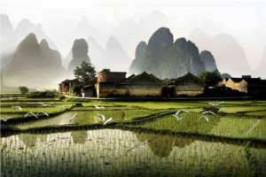 Guǎngxī 广西 - The Chairman's Bao