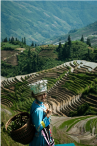 Lóngjǐ Rice Terraces - The Chairman's Bao