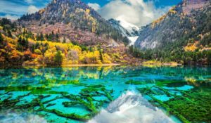 Five Flower Lake in Jiuzhaigou Nature Reserve, Sichuan - The Chairman's Bao