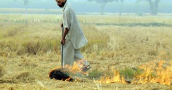 宜家将回收印度秸秆制造家具 farmer burning straw in india