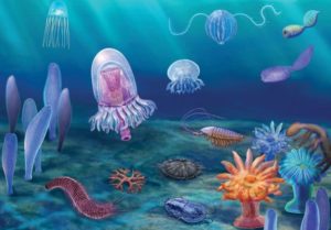 An artist’s impression of the discovered fossils