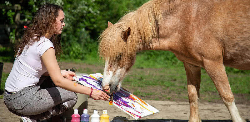Owner Teaches Horse to Paint in UK