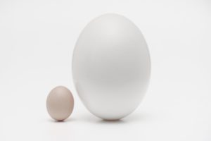 Negative Comparisons: small egg next to large egg