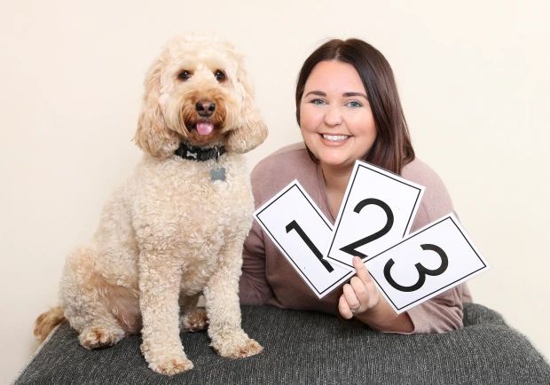 UK Pet Dog That Can Count and Spell