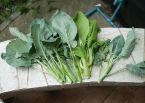 Traditional Vegetables Eaten for "Lidong", The Beginning of Winter