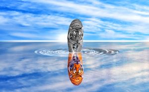 The Year of the Tiger – What to Expect!