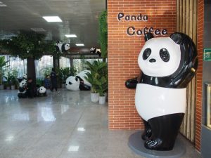 Panda-themed Coffee Shop Opens in Beijing