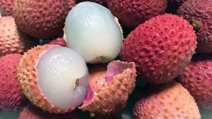 Chinese Scientists Work on Producing Seedless Lychee