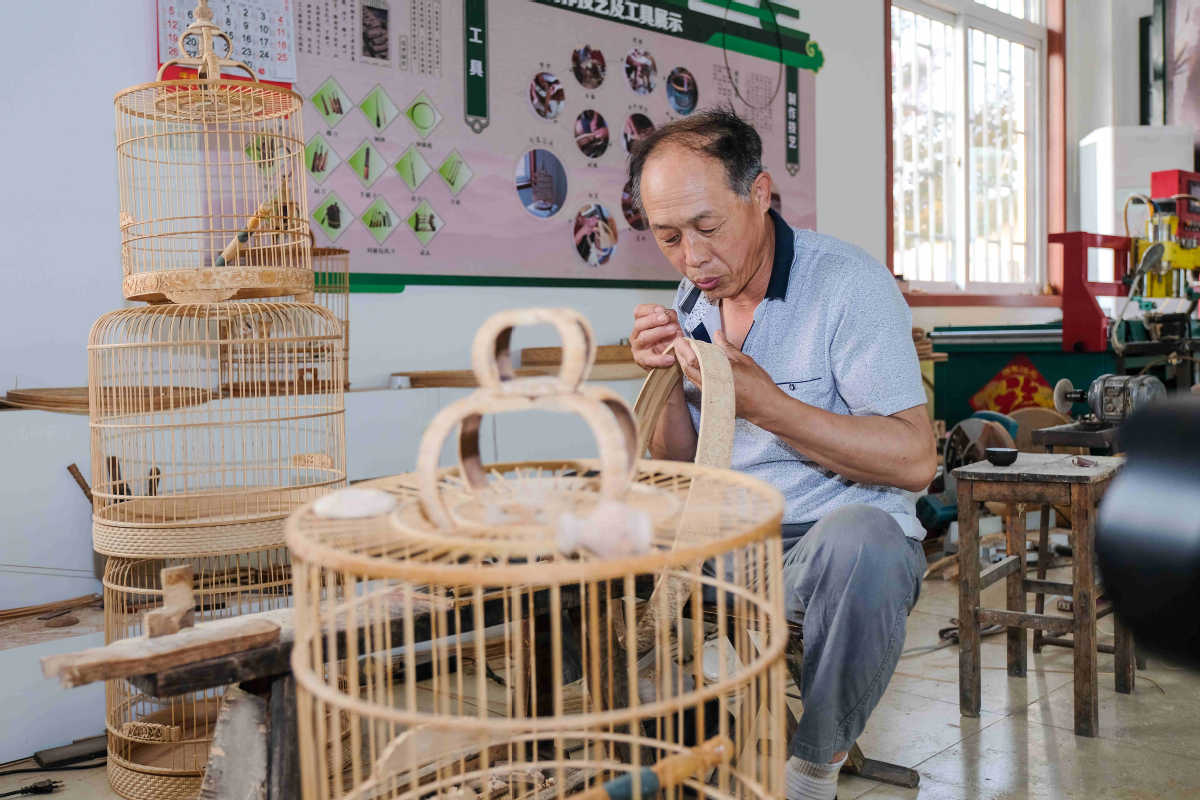 Da'ou in Qingdao Continues Tradition as China's Birdcage Village
