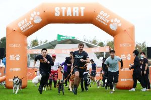 Dogs and Owners Racing Event Held in Shanghai