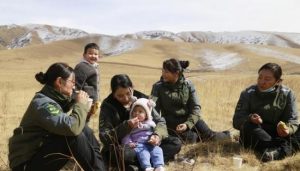 Female Ranger Team Patrol China's Northernmost National Park