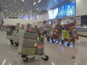 56 Items of Luggage Seized from Single Passenger at Guangzhou Baiyun Airport