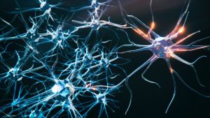 New Stem Cell Therapy Offers Hope for Treatment of Parkinson's Disease