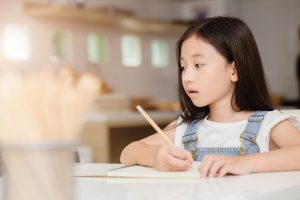 Chinese immersion schools in the US