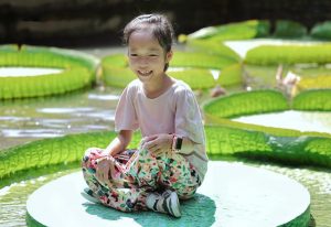 Giant Lily Pads Carry Tourists' Weight in Wuhan