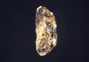New Book Explores Evidence for 10,000 Years of Chinese Civilisation