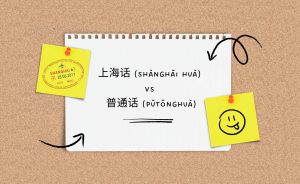 What is the Shanghainese Dialect?