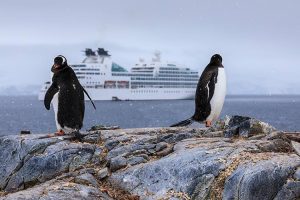 Antarctic Travel Companies Cash In on Chinese Travellers