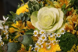 University Team Develops Yellow Rose Cabbage for Valentines Day