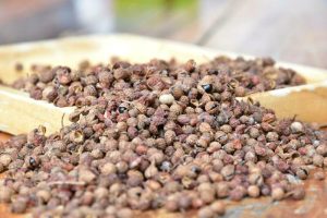 60,000-Year-Old Sichuan Pepper Seeds Unearthed