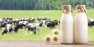 Free Milk for Primary Schools Students Offered in Taipei