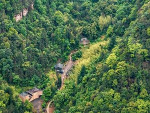 Stairway to Love Brings Real Life Fairy Tale to Chongqing
